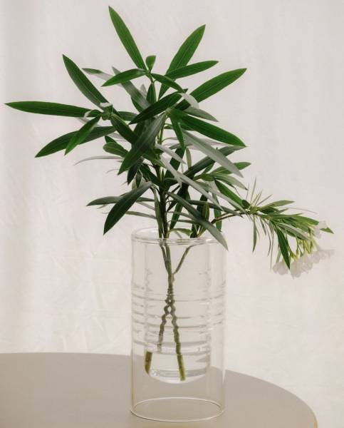 Vase 24 double position en verre ondulé transparent conçu par Nathalie Dewez à décourvrir chez Maison Mirbel au Corbusier à Marseille