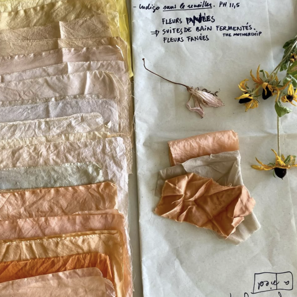 Fleurs en soie Dorothée l'a fait chez Maison Mirbel