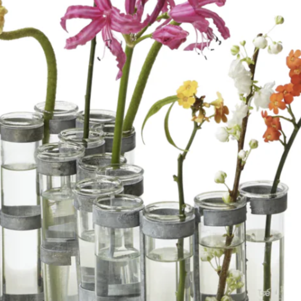 Vase d'avril chez Maison Mirbel